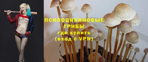 ГАЛЛЮЦИНОГЕННЫЕ ГРИБЫ Алексин