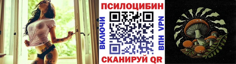 Галлюциногенные грибы Cubensis  где продают наркотики  Апшеронск 