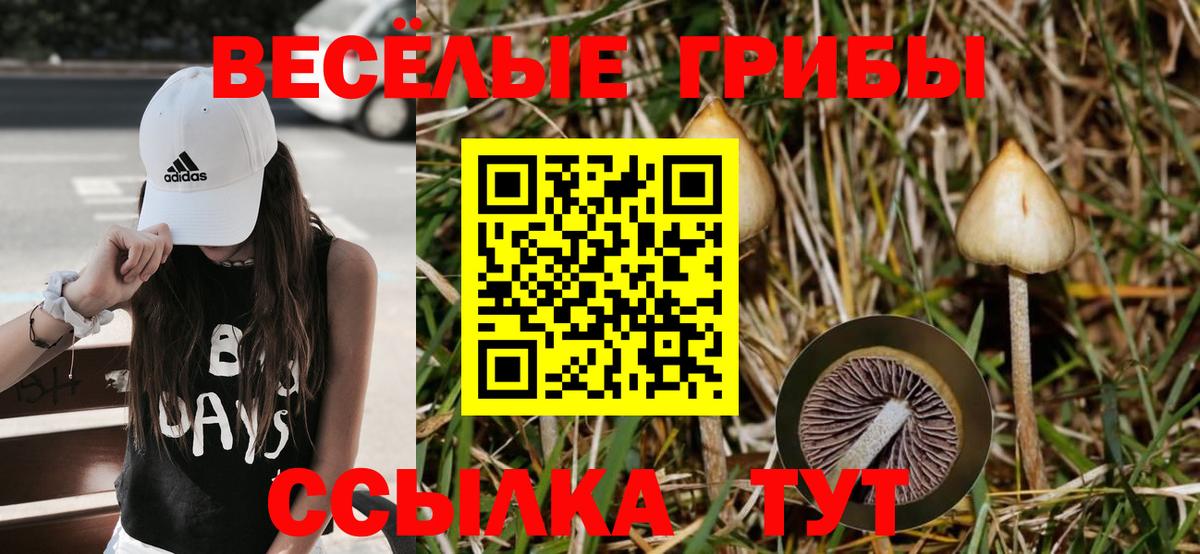 Псилоцибиновые грибы MAGIC MUSHROOMS Апшеронск